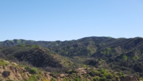 View of some of the trails around Tapia